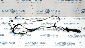 Audi Q3 83A 19-25 Front Right Door Wiring for Keyless Entry