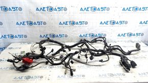 Ford Fusion mk5 13-16 2.5 engine wiring