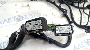 Ford Escape MK3 2013-2019 2.0T Engine Wiring