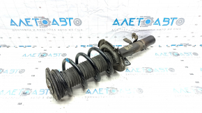Front right shock absorber assembly for Ford Escape MK3 13-19, straight cup, green spring