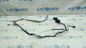 Rear left door wiring Toyota Venza 21-