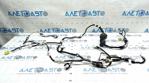 Toyota Highlander 20-25 Front Left Door Wiring