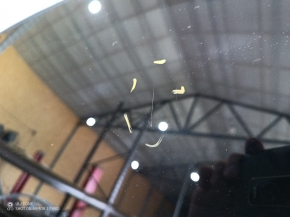 Tesla Model Y 20-25 panoramic roof glass has air along the edge and scratches