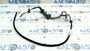 Lexus NX200t NX300 NX300h 15-21 Trunk Antenna Wiring