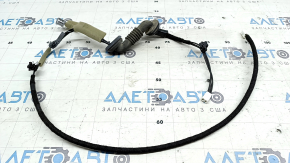Lexus NX200t NX300 NX300h 15-21 Trunk Antenna Wiring