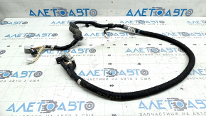 Lexus NX200t NX300 NX300h 15-21 Trunk Wiring