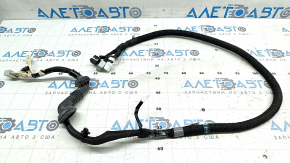 Lexus NX200t NX300 NX300h 15-21 Trunk Wiring