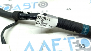 Lexus NX200t NX300 NX300h 15-21 Trunk Wiring