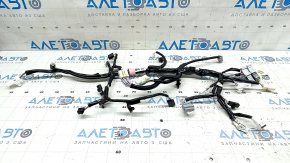 Lexus NX200t NX300 NX300h 15-21 Trunk Wiring
