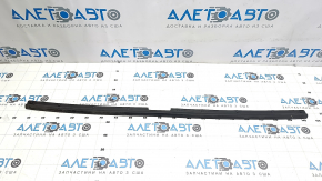 Nissan Ariya 23-25 Hood Seal