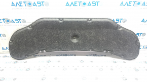 Nissan Ariya 23-25 hood insulation tears