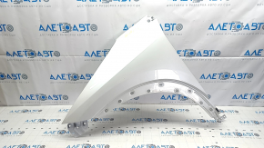 Front left fender Nissan Ariya 23-25 white XGA