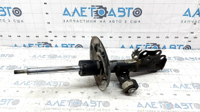 Front right shock absorber Toyota Camry v70 18-24 LE\XLE FWD