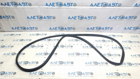 Nissan Ariya 23-25 rear right door seal
