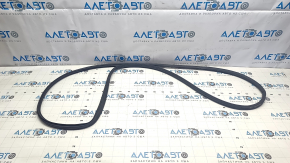 Nissan Ariya 23-25 rear right door seal