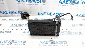 Dry curtain Nissan Ariya 23-25