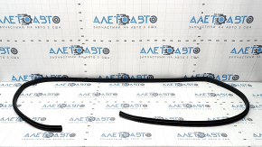 Door seal front right Subaru Forester 19-24 SK