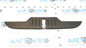 Ford Mustang Mach-E 21-23 Hood Lock Trim
