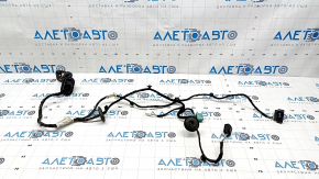 Wiring for the rear right door of a Ford Ecosport 18-22