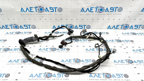 Trunk door wiring Ford Ecosport 18-22