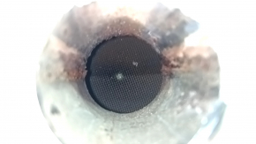 Ford C-max MK2 13-18 rear catalytic converter, cut and rusty