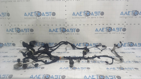 Ford Ecosport 18-22 2.0 engine wiring