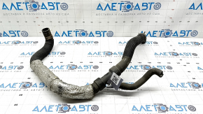 The lower cooling hose of the Lincoln MKZ 13-16 3.7 is torn.