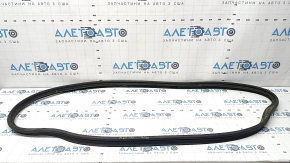 Ford Fusion mk5 13-20 trunk lid seal