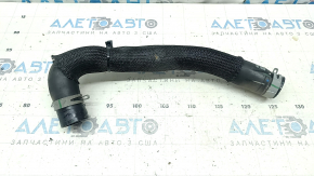 Ford Escape MK4 2020 hybrid coolant hose, to the pump