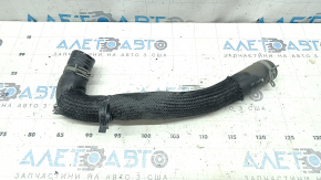 Ford Escape MK4 2020 hybrid coolant hose, to the pump