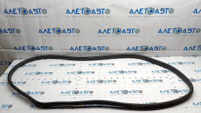 Hyundai Ioniq 5 22-24 Front Left Door Seal