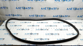 Hyundai Ioniq 5 22-24 Front Right Door Seal