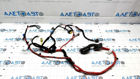 Hyundai Ioniq 5 22-24 Front Left Door Wiring