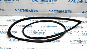 Hyundai Ioniq 5 22-24 Front Left Door Seal