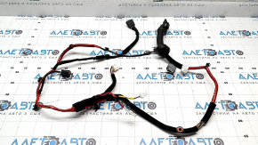 Hyundai Ioniq 5 22-24 Rear Left Door Wiring
