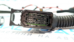 Hyundai Ioniq 5 22-24 Rear Left Door Wiring