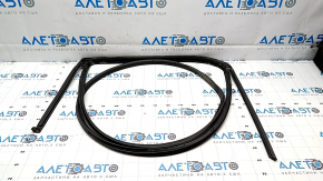 Hyundai Ioniq 5 22-24 rear left door seal