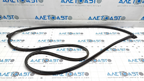 Hyundai Ioniq 5 22-24 Front Right Door Seal