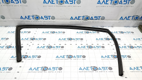 Hyundai Ioniq 5 22-24 front right door glass seal