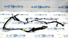 Hyundai Ioniq 5 22-24 Rear Right Door Wiring