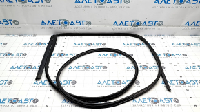 Hyundai Ioniq 5 22-24 rear right door seal