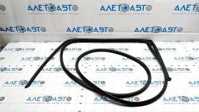 Hyundai Ioniq 5 22-24 rear right door seal