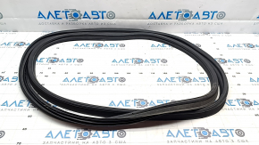 Hyundai Ioniq 5 22-24 trunk door rubber seal