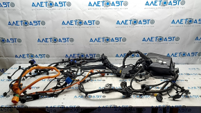 Hyundai Ioniq 5 22-24 Underhood Wiring with Fuse Box