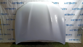 Ford Mustang Mach-E 21-23 Aluminum Hood, White A3