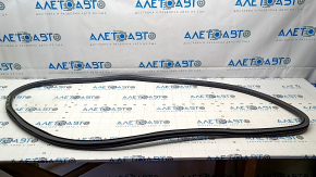 Door seal front right Ford Mustang Mach-E 21-23