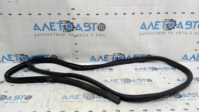 The front right door seal of the Kia Optima 11-16 is worn and torn.