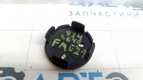 Ford Mustang Mach-E 21-23 Wheel Center Cap Chip