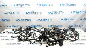 Ford Mustang Mach-E 21-23 Engine Bay Wiring