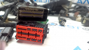 Ford Mustang Mach-E 21-23 Engine Bay Wiring